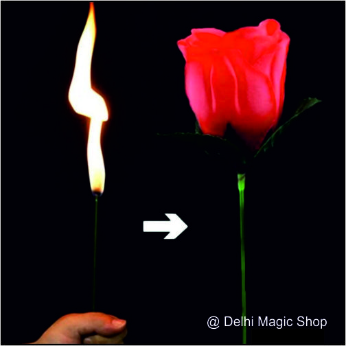 Manufacturer, Exporter, Importer, Supplier, Wholesaler, Retailer, Trader of Automatic fire to Torch in New Delhi, Delhi, India.