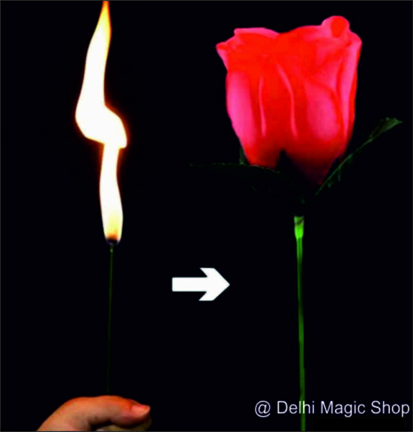 Manufacturer, Exporter, Importer, Supplier, Wholesaler, Retailer, Trader of Automatic Torch to Rose in New Delhi, Delhi, India.