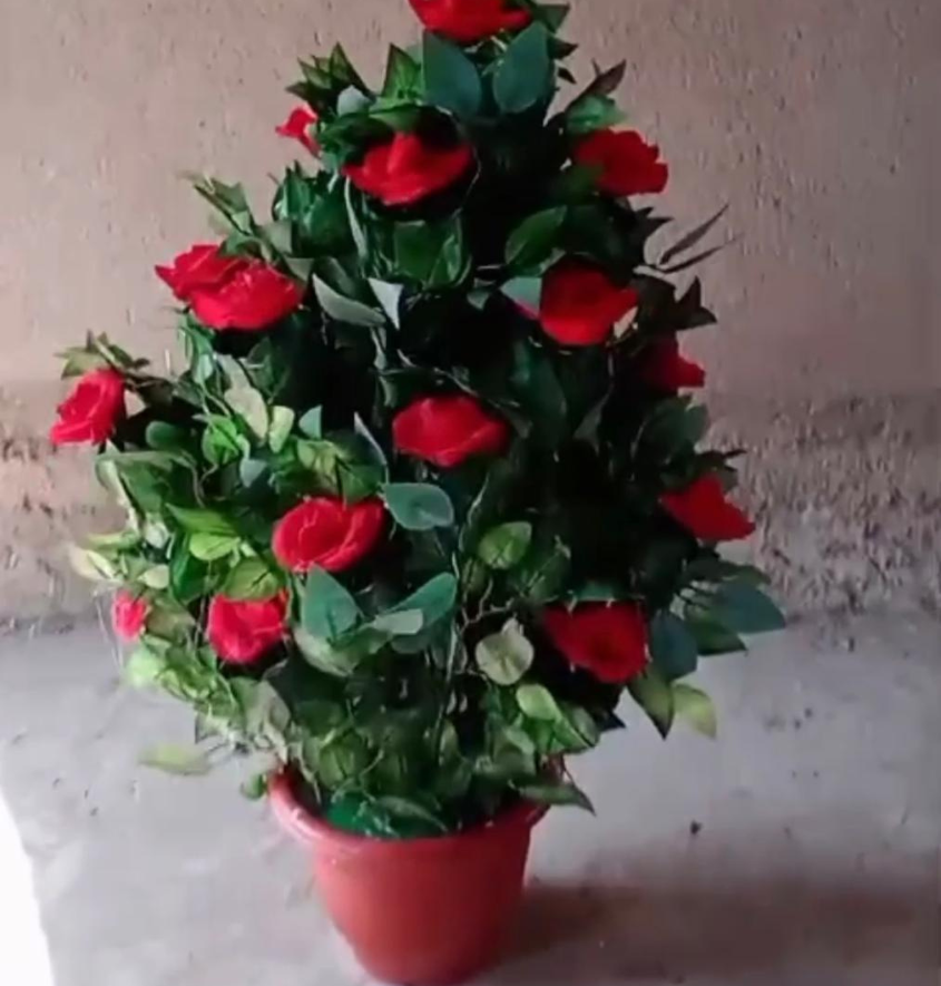 Manufacturer, Exporter, Importer, Supplier, Wholesaler, Retailer, Trader of Blooming Flower Bush in New Delhi, Delhi, India.