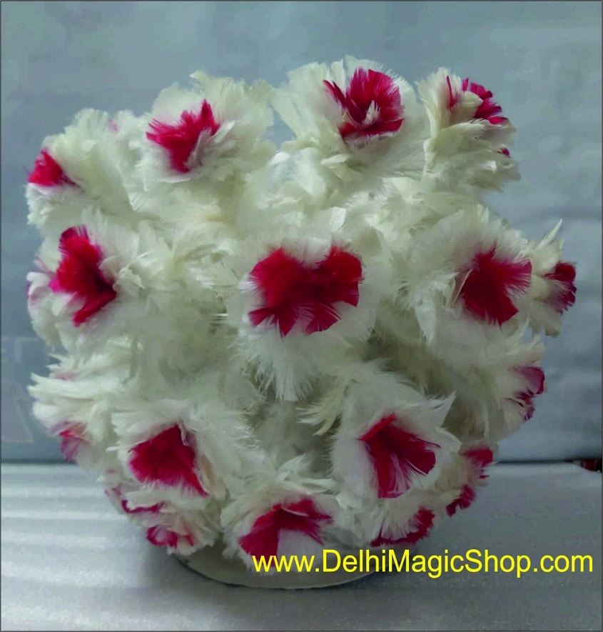 Manufacturer, Exporter, Importer, Supplier, Wholesaler, Retailer, Trader of Dove Botania in New Delhi, Delhi, India.