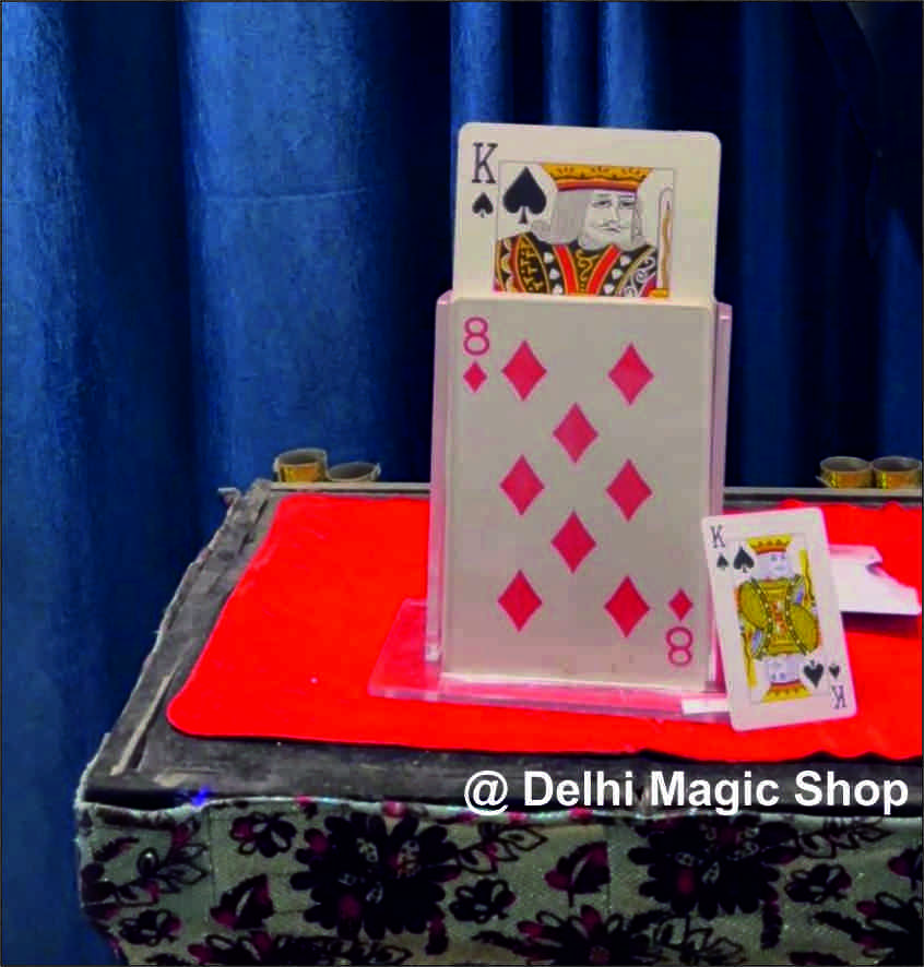 Manufacturer, Exporter, Importer, Supplier, Wholesaler, Retailer, Trader of Electronic Card Rise Jumbo in New Delhi, Delhi, India.