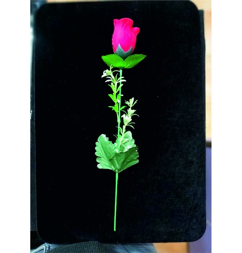 Manufacturer, Exporter, Importer, Supplier, Wholesaler, Retailer, Trader of Silk To Rose in New Delhi, Delhi, India.