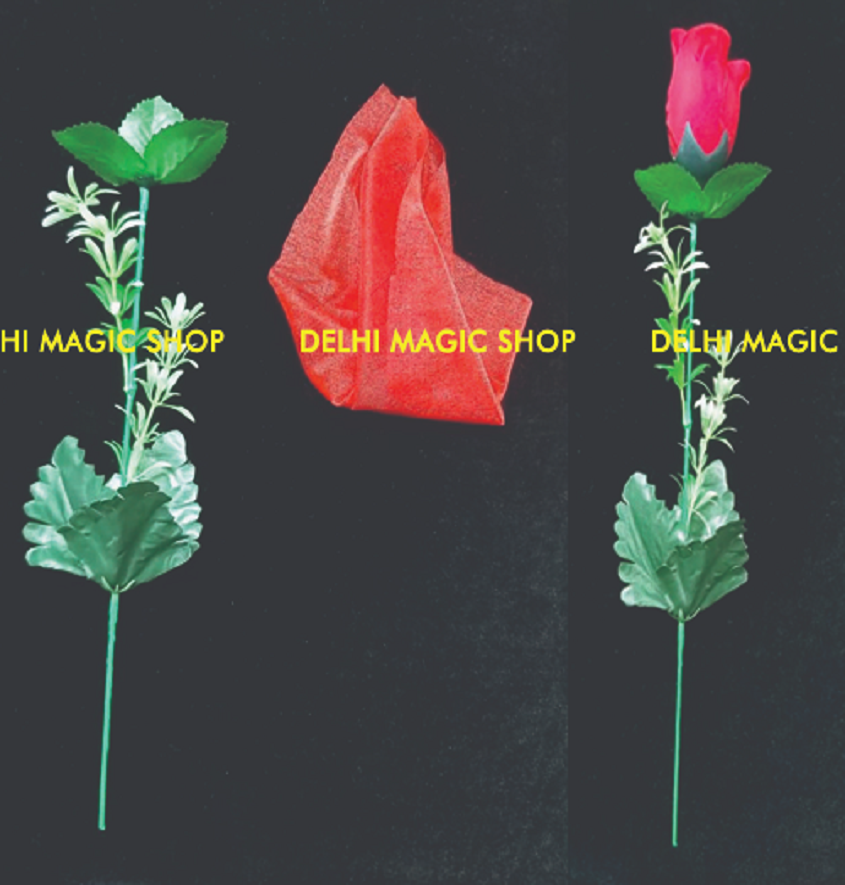 Manufacturer, Exporter, Importer, Supplier, Wholesaler, Retailer, Trader of Silk To Rose in New Delhi, Delhi, India.