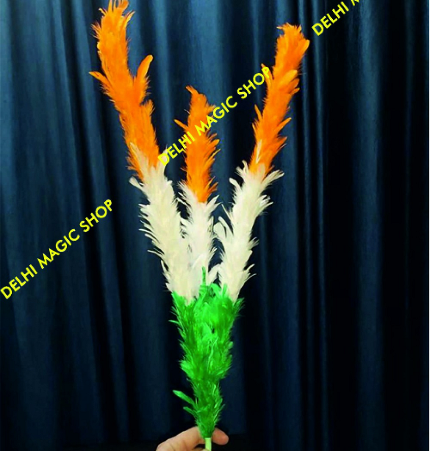 Manufacturer, Exporter, Importer, Supplier, Wholesaler, Retailer, Trader of Vanish Cane Flower in New Delhi, Delhi, India.